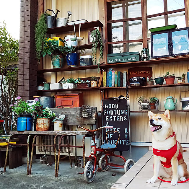 ryokoさんの実例写真