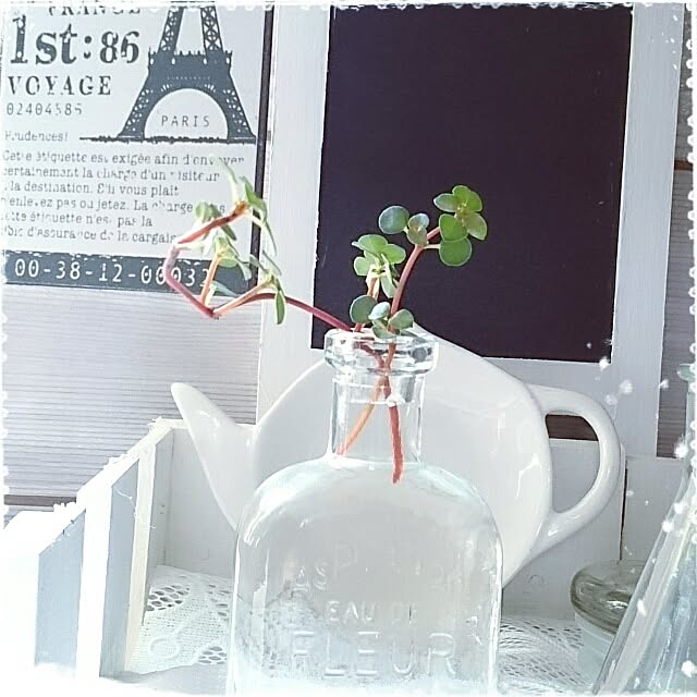 OBTERNIR88filerさんの実例写真