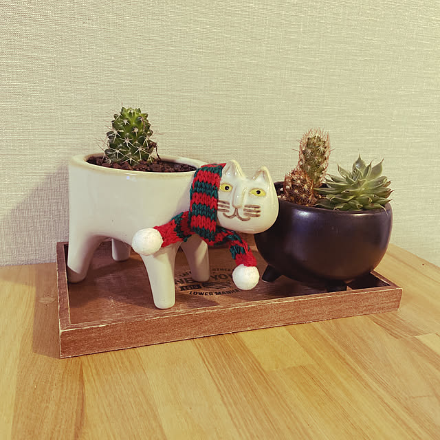 miwaさんの実例写真