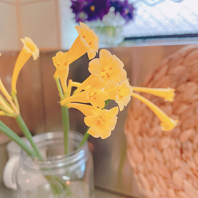 smallroomさんの部屋