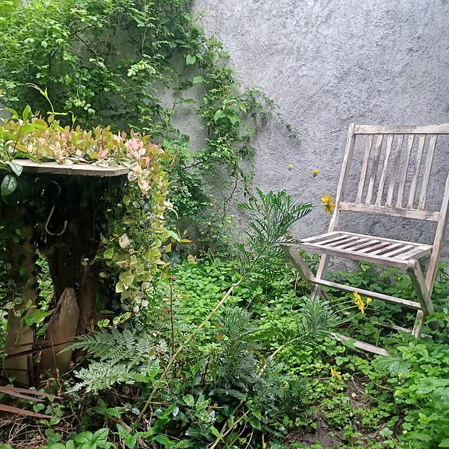scrapheaven55さんの部屋