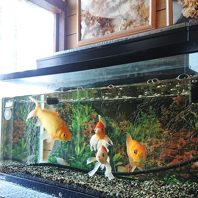 NOAHさんの部屋