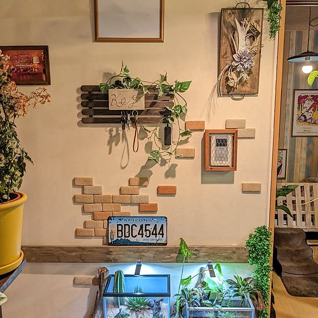GINさんの部屋