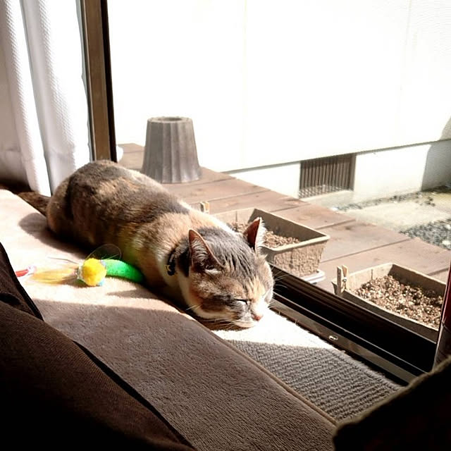 fukuさんの実例写真