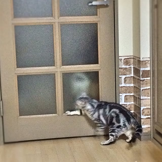 v-nsnsmanさんの実例写真
