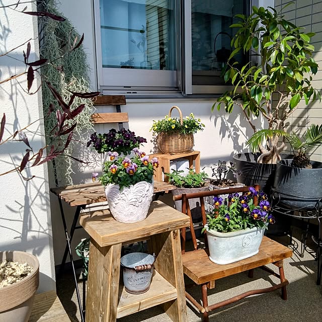 Petit_Pommierさんの実例写真