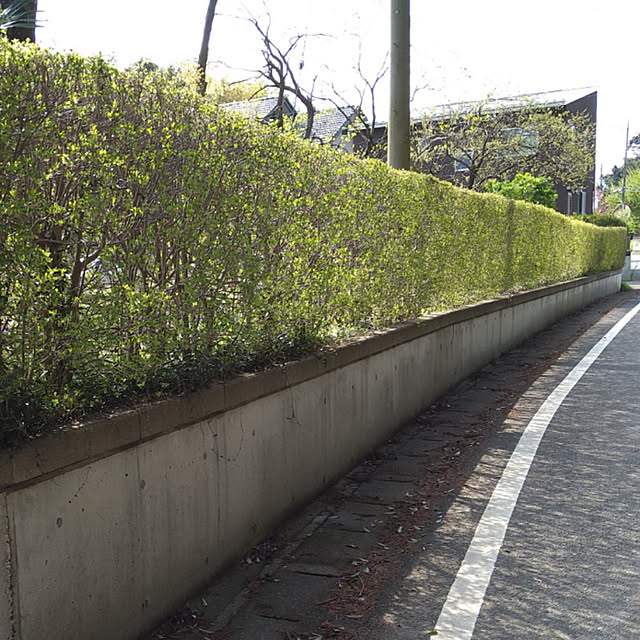 y.ebihara0811さんの実例写真
