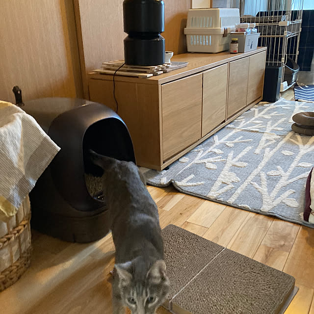 Yuccaさんの実例写真