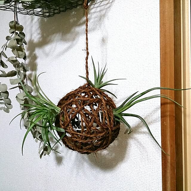 emi87さんの実例写真
