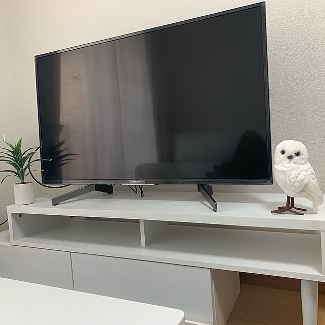 pukumaruさんの実例写真