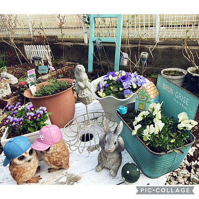 CoCo0617さんの実例写真