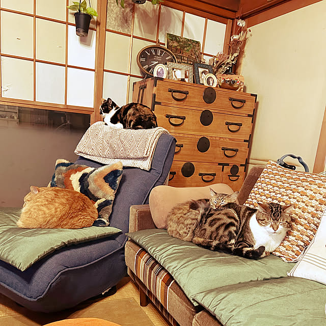 choroさんの実例写真