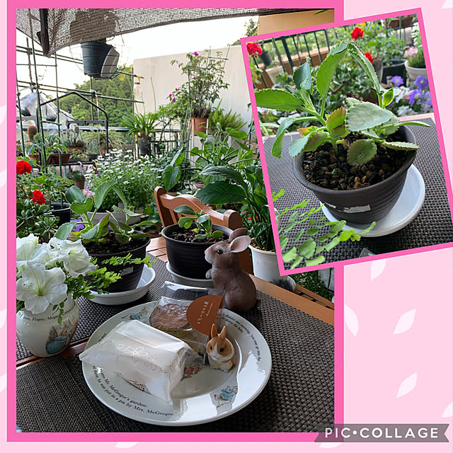 Aqettyさんの実例写真