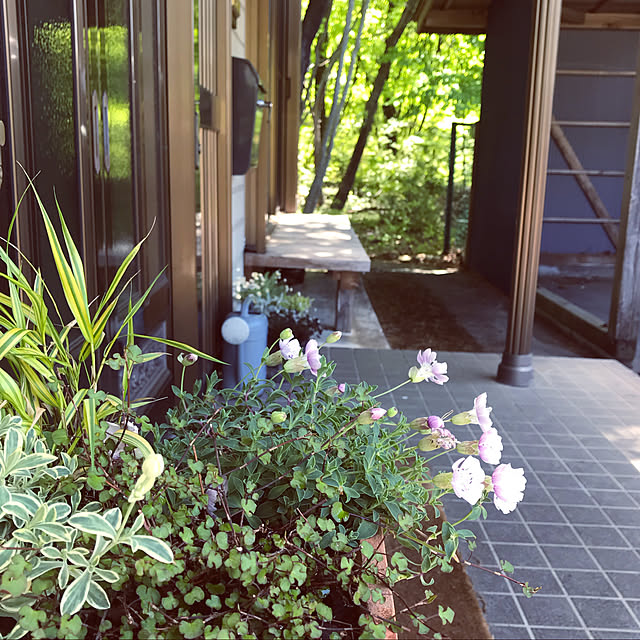 marucoさんの実例写真