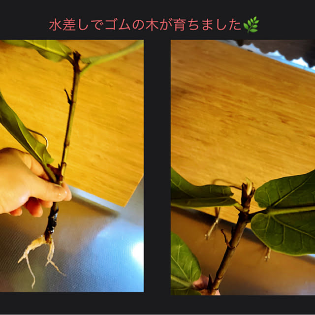 okeychikunさんの実例写真