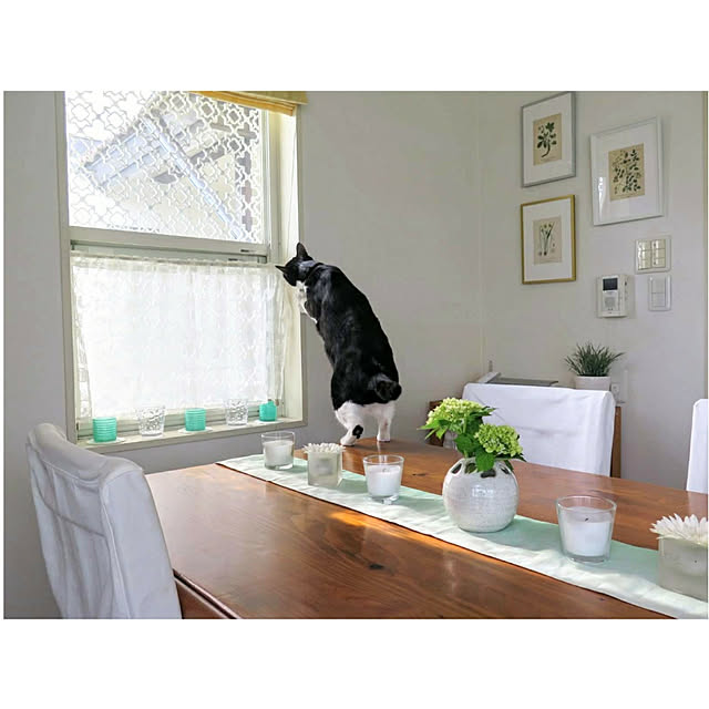 hiyo.pietさんの実例写真