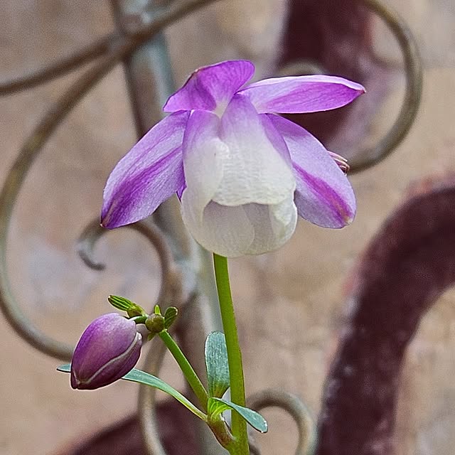 mocomocoさんの実例写真