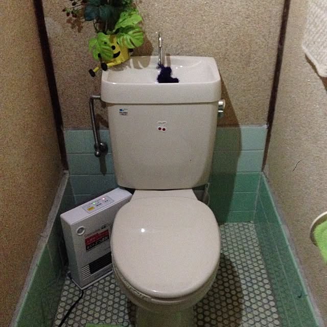 midoroさんの実例写真