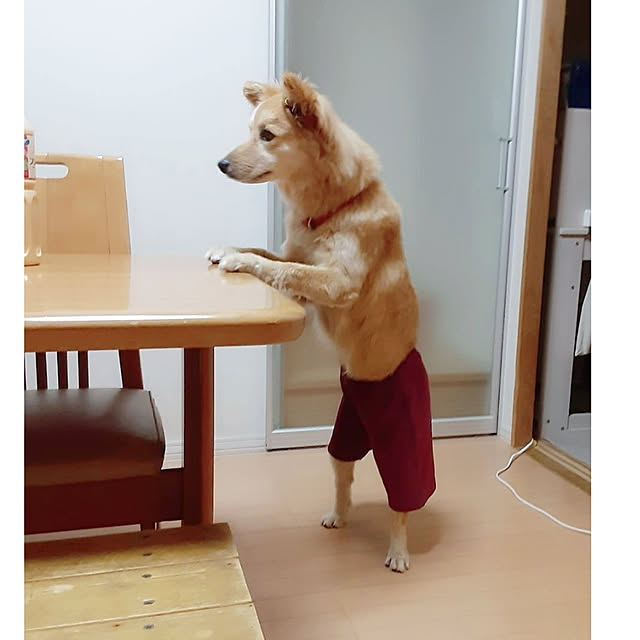 kaoriさんの実例写真