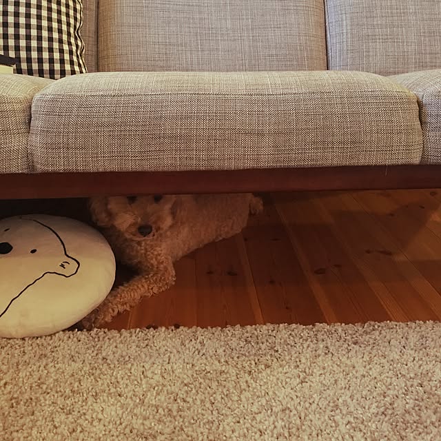 tomさんの実例写真