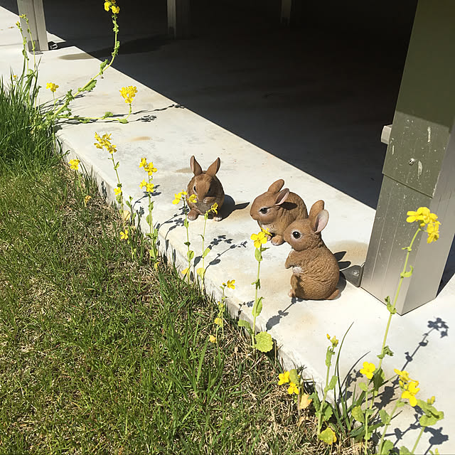 Yumiさんの実例写真