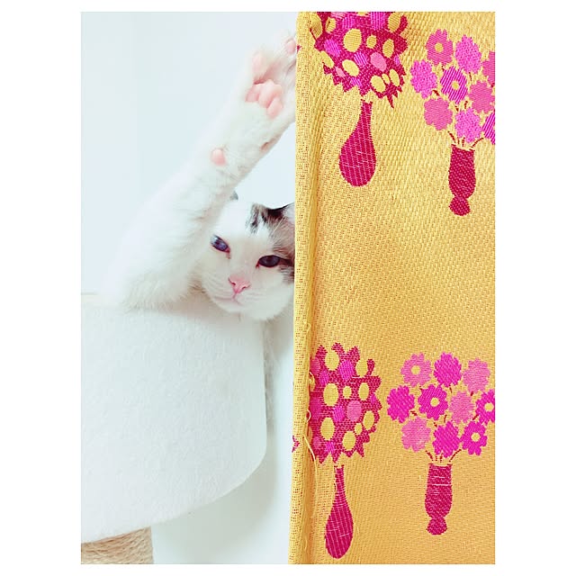keicoconutsさんの実例写真