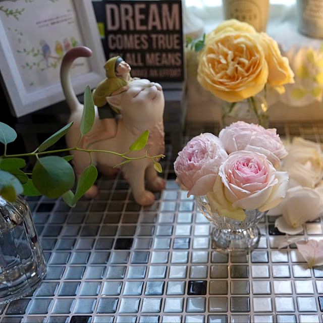 haruisabelさんの部屋