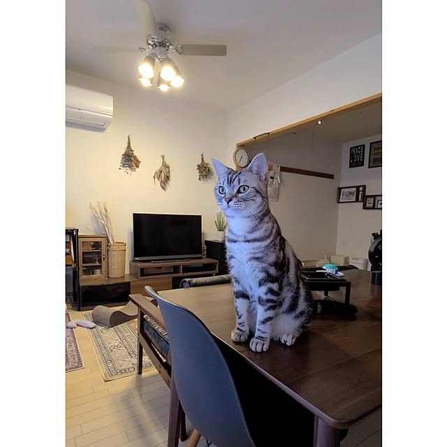 lovepeaceさんの実例写真
