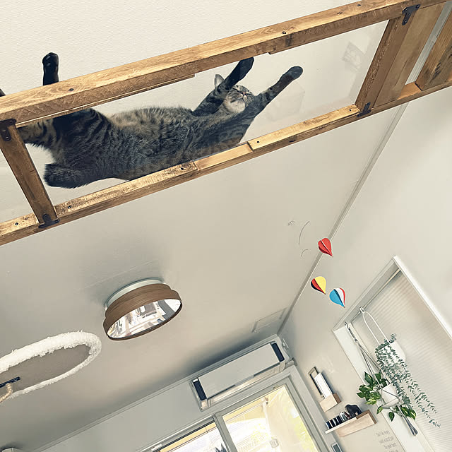 masamasaさんの実例写真