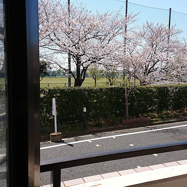 ni-tarou58914さんの実例写真