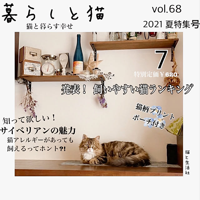 yokoさんの実例写真