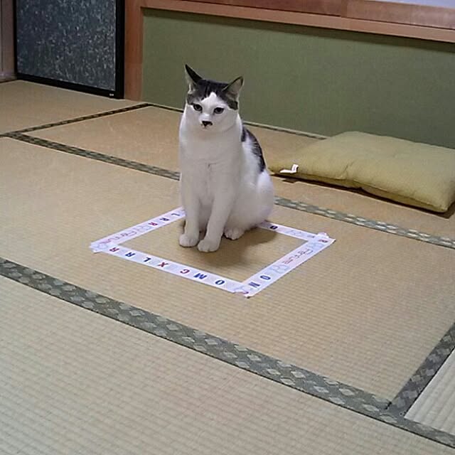 kamekoさんの実例写真