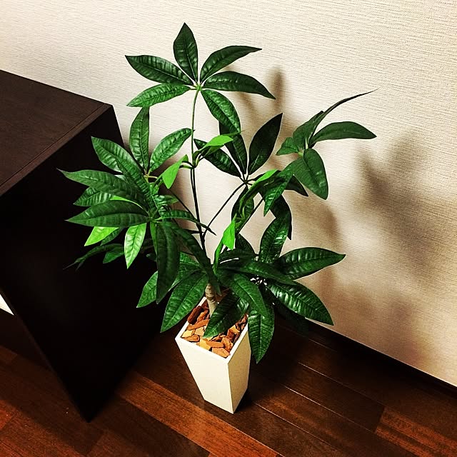 saicoさんの実例写真