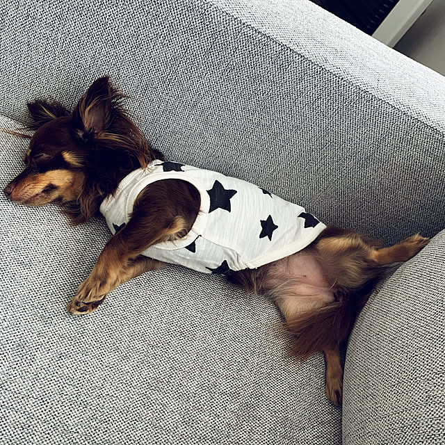 cocoさんの実例写真