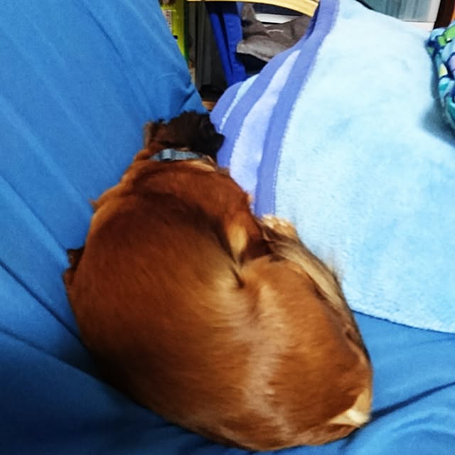 andさんの実例写真