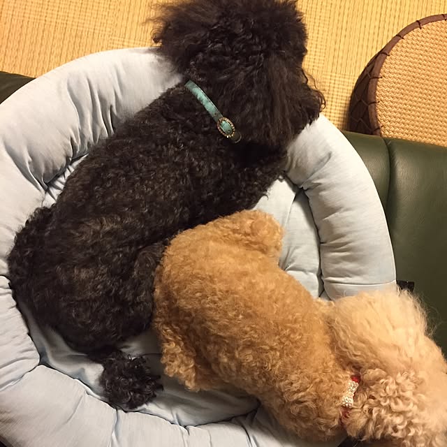 Enaさんの実例写真