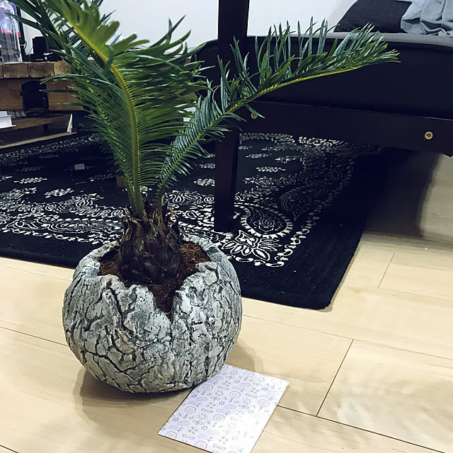 SBt.さんの実例写真