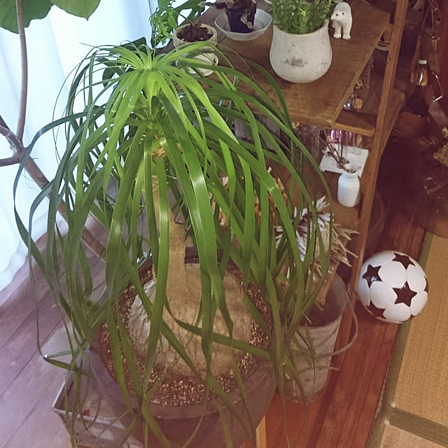 takenさんの実例写真