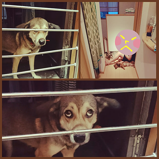 andさんの実例写真