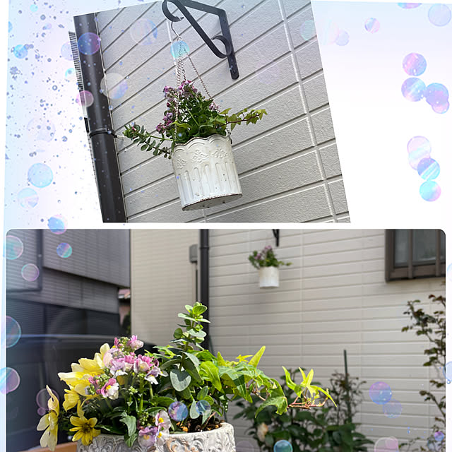 reonmamaさんの実例写真