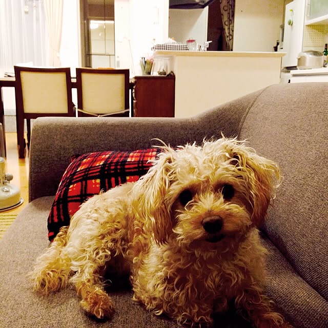 yさんの実例写真