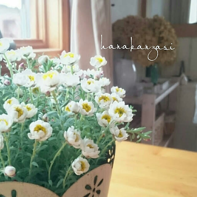 ai.happyplaceさんの実例写真