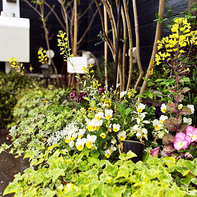 ange0919さんの部屋