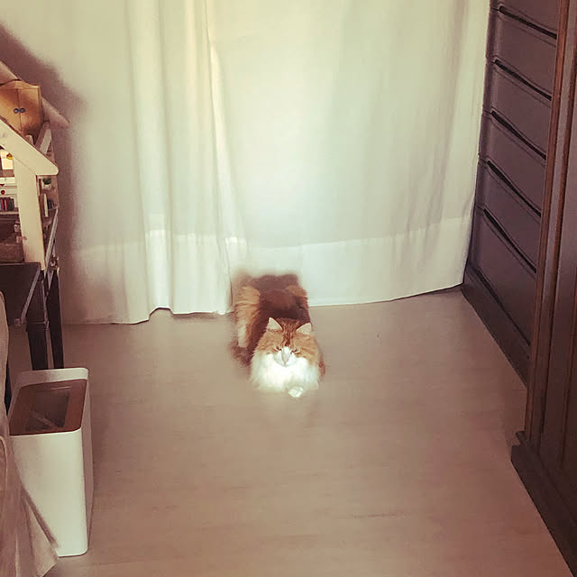 uchidaizuさんの実例写真
