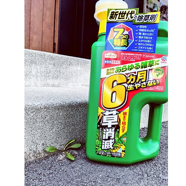 mamimamipockyさんの実例写真