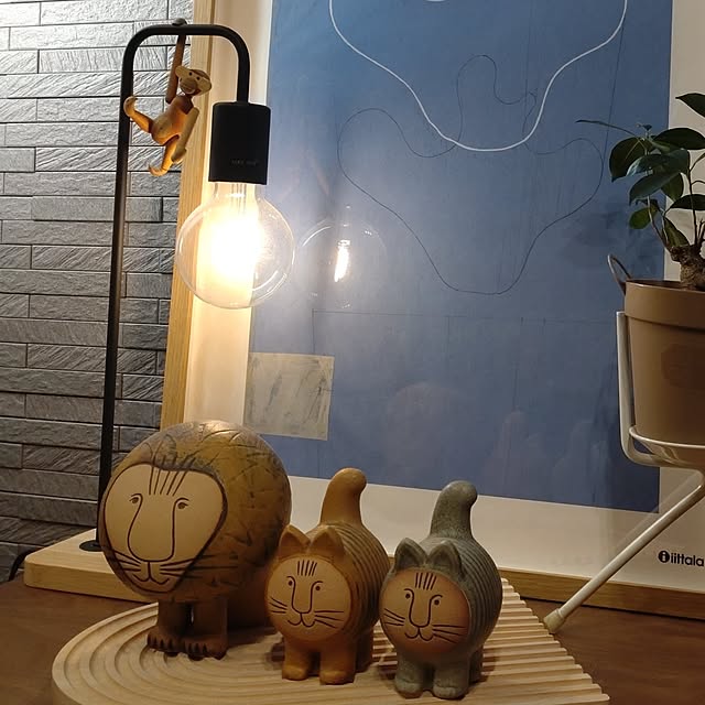 tan5さんの実例写真