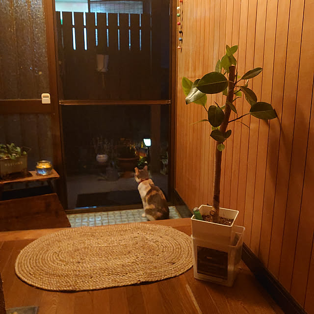 fukuさんの実例写真