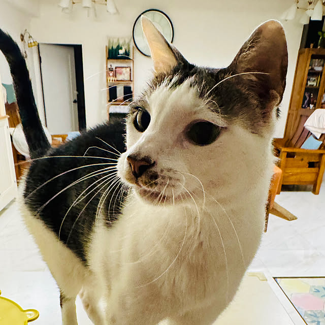 pcu110さんの部屋