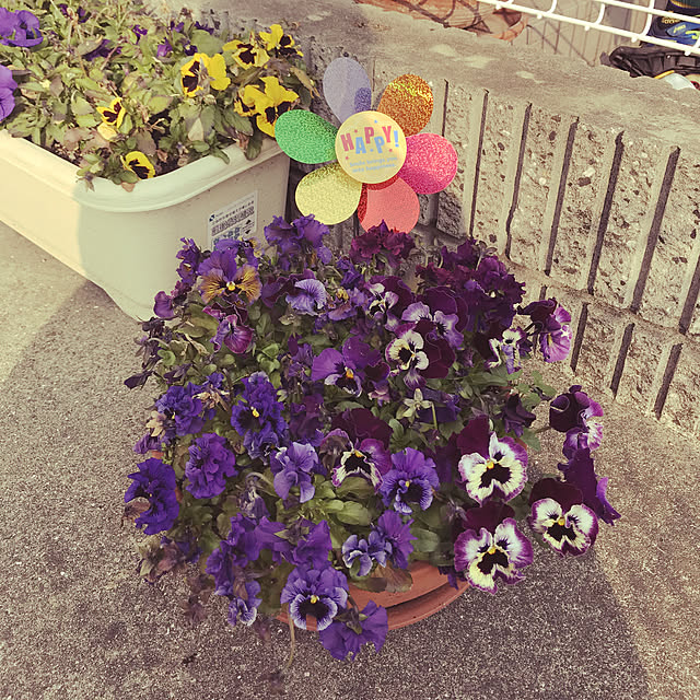 yuさんの実例写真