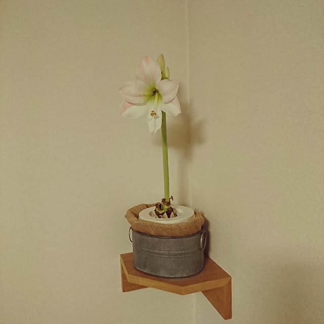 kmy-momさんの実例写真